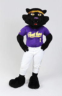 TC & TK Apparel Selections | Official Home of the University of Northern  Iowa Mascots, TC and TK!